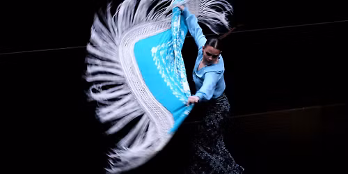 The Flamenco Collective