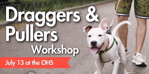 Draggers & Pullers Group Dog Training Workshop