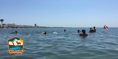 Snorkeling Adventure