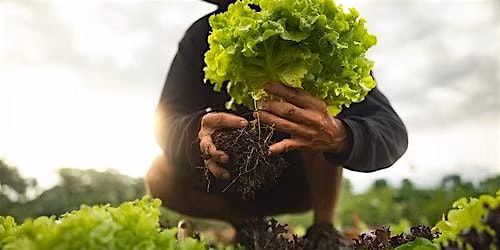 Cooking Fresh with Local BC Ingredients: Cooking Series