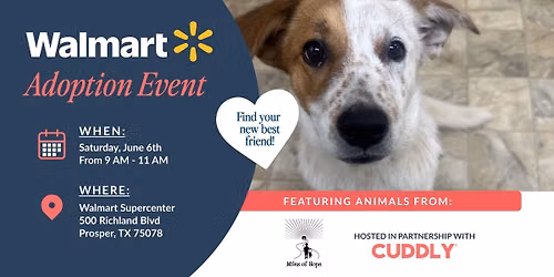 Walmart Adoption Event | Prosper, TX