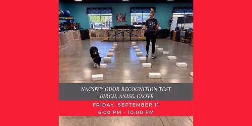 Las Vegas Odor Recognition Test