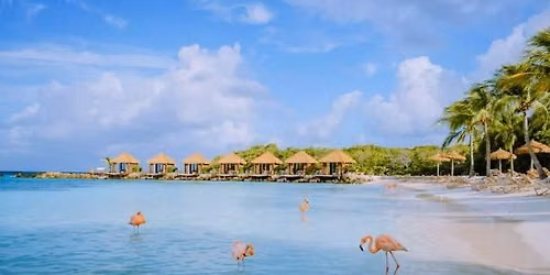 Escape to Aruba