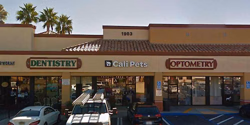 San Marcos - Dog dental cleaning
