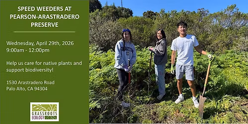 Speed Weeders at Palo Alto at Pearson-Arastradero Preserve