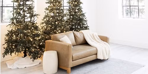 Christmas Mini Sessions at the Lumen Room Fort Worth