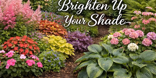 Brighten Up Your Shade