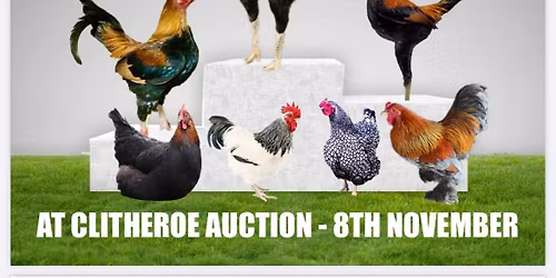 Poultry Sale