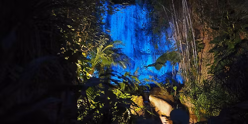 Die Tropen-Schlemmer-Partynacht \u2013 Sanuk im Gondwanaland!