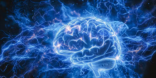 Neuroscience Class (6-8th grade) | STEAM Saturdays Class