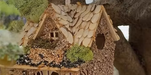 Bird-Feeding Decorating - Craft Social Party