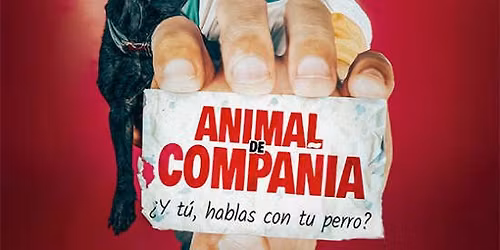Animal de Compa\u00f1\u00eda en M\u00e1laga