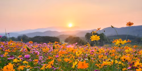 MSHRM Spring Program