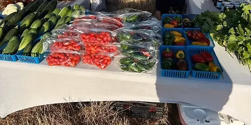 East Temple Farmer's Market hosted by Temple Feed