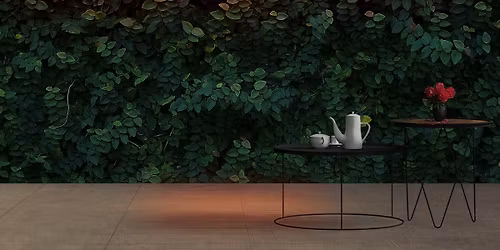 Let's Dance - We're back! NEW VENUE! NEW TIME! 