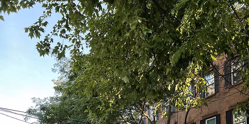 Lower Chestnut Block Party