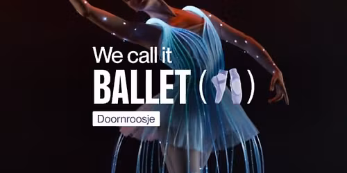 We call it Ballet: Doornroosje, een Dans- en Lichtshow!