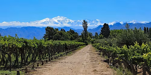 VIP Wine Dinner \u2013 Wines of Argentina