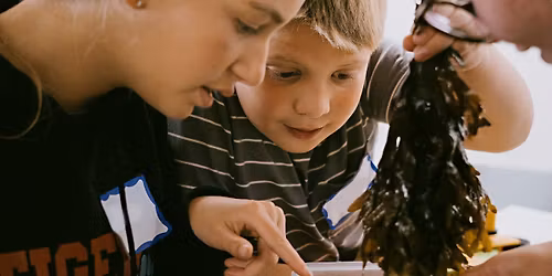 Spring Break STEAM Camp