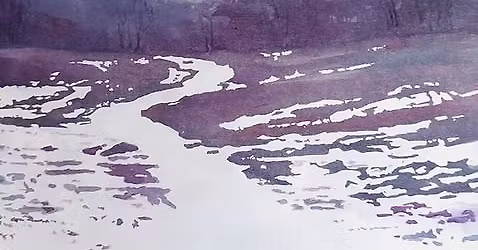 Beginning Watercolor Course (Fall 2025) with Ryann Carey