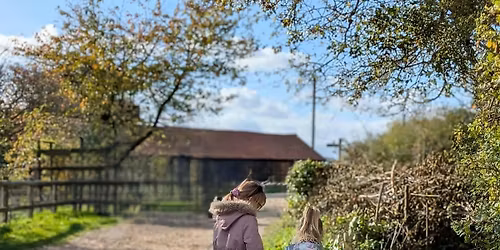 Fingringhoe Wild Code Breakers
