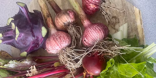 Sorell Homemaker Swap - December (festive)