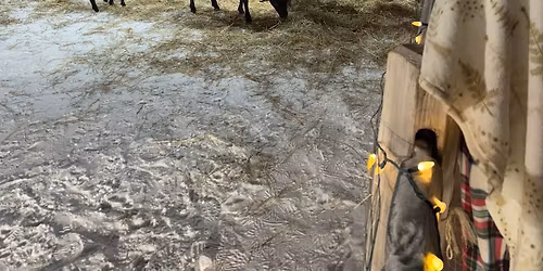 Living Nativity Scene