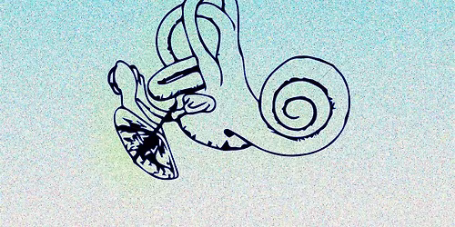 IMMERSIVE LISTENING SESSION