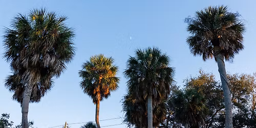  Harbordale Park Ribbon Cutting Ceremony 