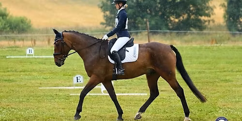 Flatwork Training with Jean Stephen 