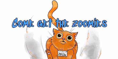 Kitty Beanz Cat 5k & Pet Market