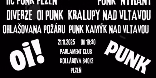 PUNK & SKINS in Parlament