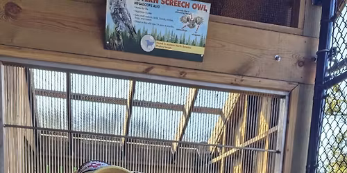 Raptors and Rehabilitation