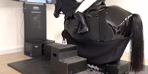Mechanical Horse Sessions with Sara Hills