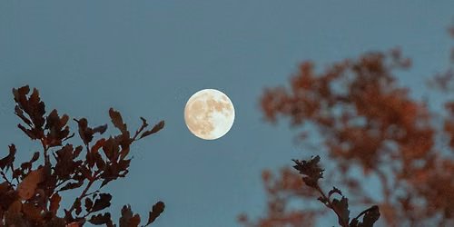 Full Moon Hike