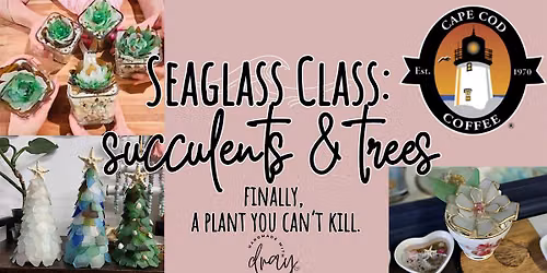 Sip & Craft- Seaglass Succulents @ Cape Cod Coffee Mashpee
