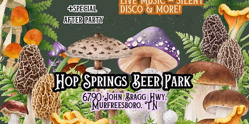 Fairly Odd Finds Festival : Tennessee