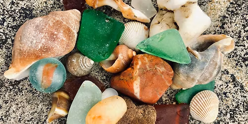 Seashell Serenity (Adults & Teens, Ages 12+)
