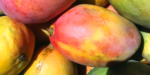 Making Fig & Mango Balsamic