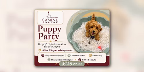 Puppy Party