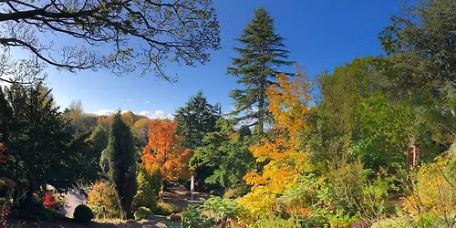 Parking Chris Williamson - Vancouver