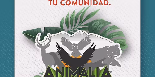 ANIMALIA Monterrey