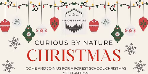 Forest School Christmas Session