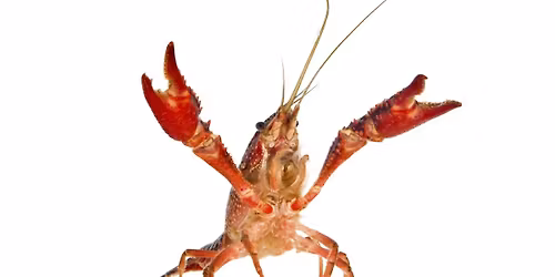 32nd Annual Crawfish Boil