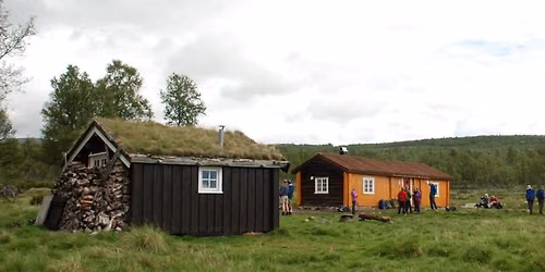 Ferskingkurs i fjellet - Helgekurs juli 2026