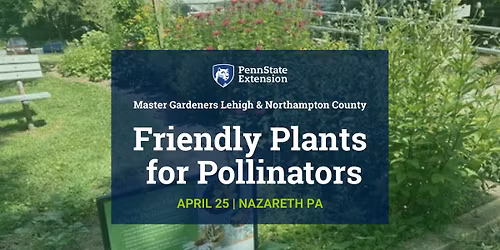 Friendly Plants for Pollinators FREE Workshop 