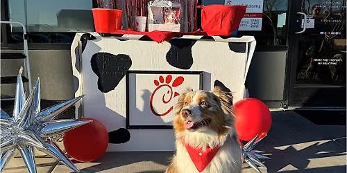 Pup Paw-ty: Dogs in the Drive-Thru at Chick-fil-A!