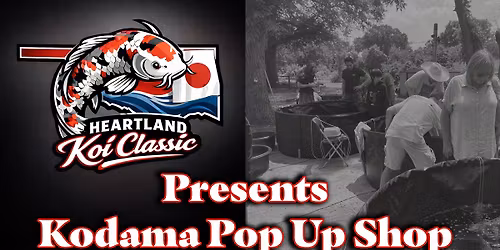 Kodama Pop Up Shop - Tulsa Oklahoma