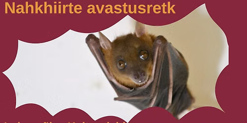 Nahkhiirte avastusretk Luke m\u00f5isas