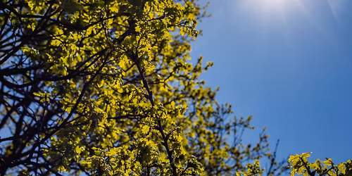 After Work: Sommer og sol